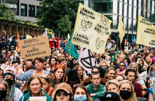 animal agriculture_climate breakdown_1